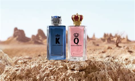 k q dolce gabbana